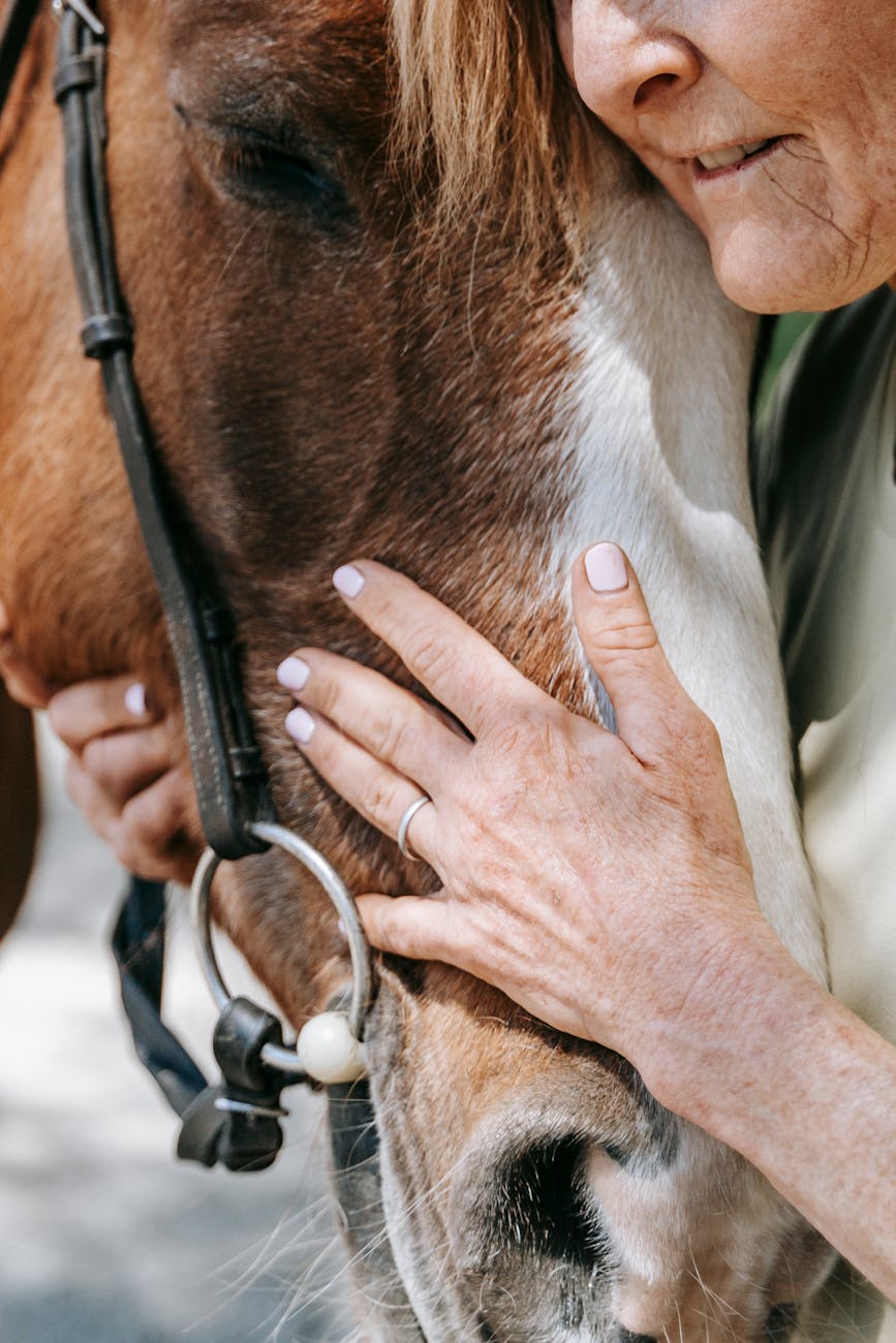 Empathy in Equines: The Unbreakable Connection With Humans